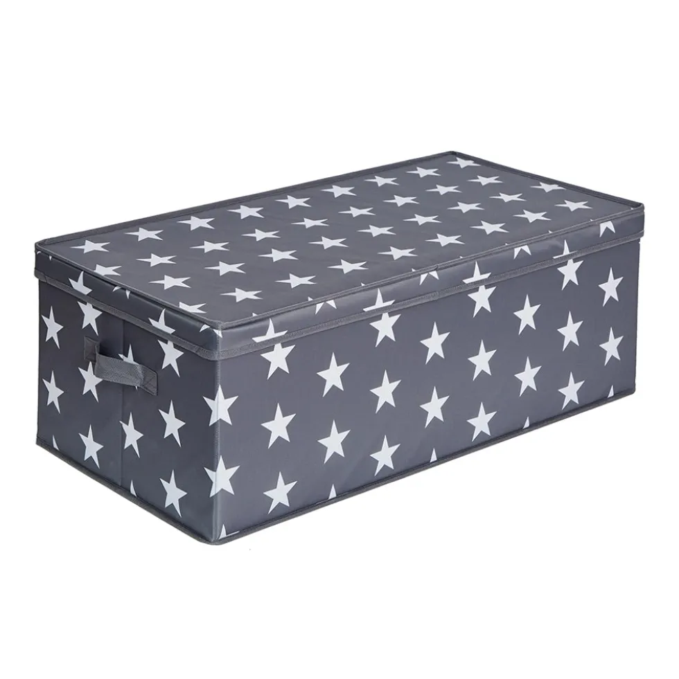 Kerstballen opbergbox sterren 30 ballen Store It
