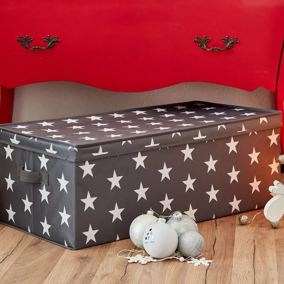 Kerstballen opbergbox sterren 30 ballen Store It