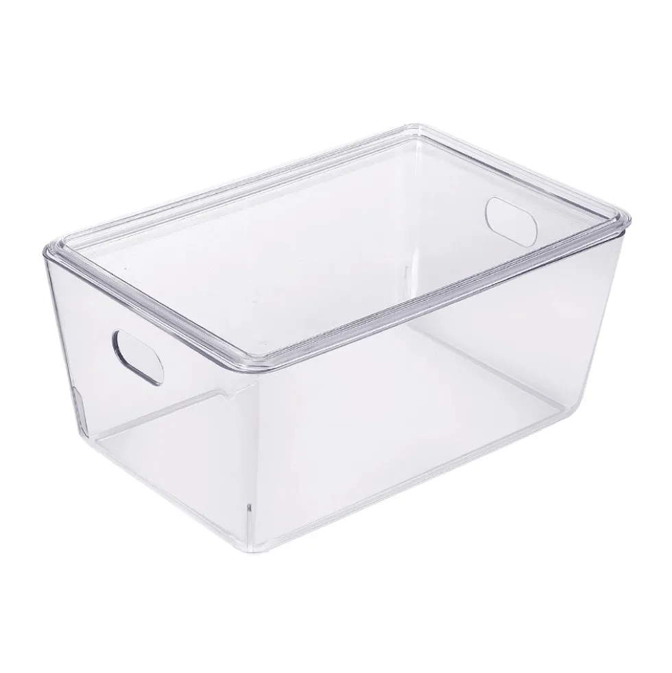 Transparant bakje met deksel 4 liter Ezystorage